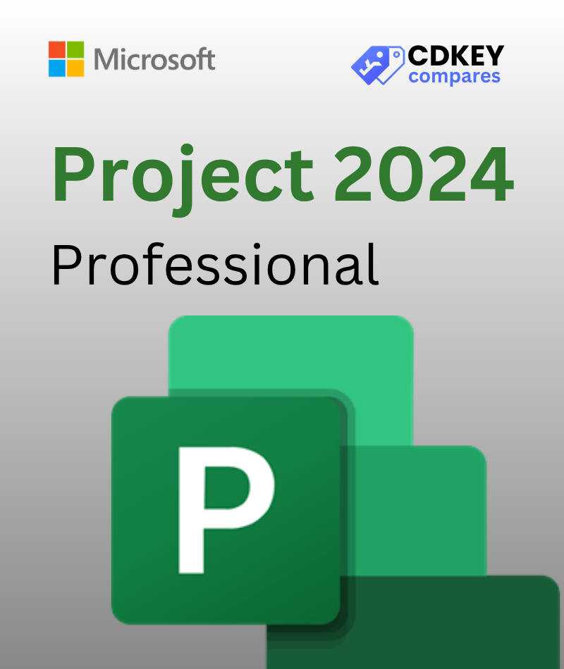 Microsoft Project 2024 Professional