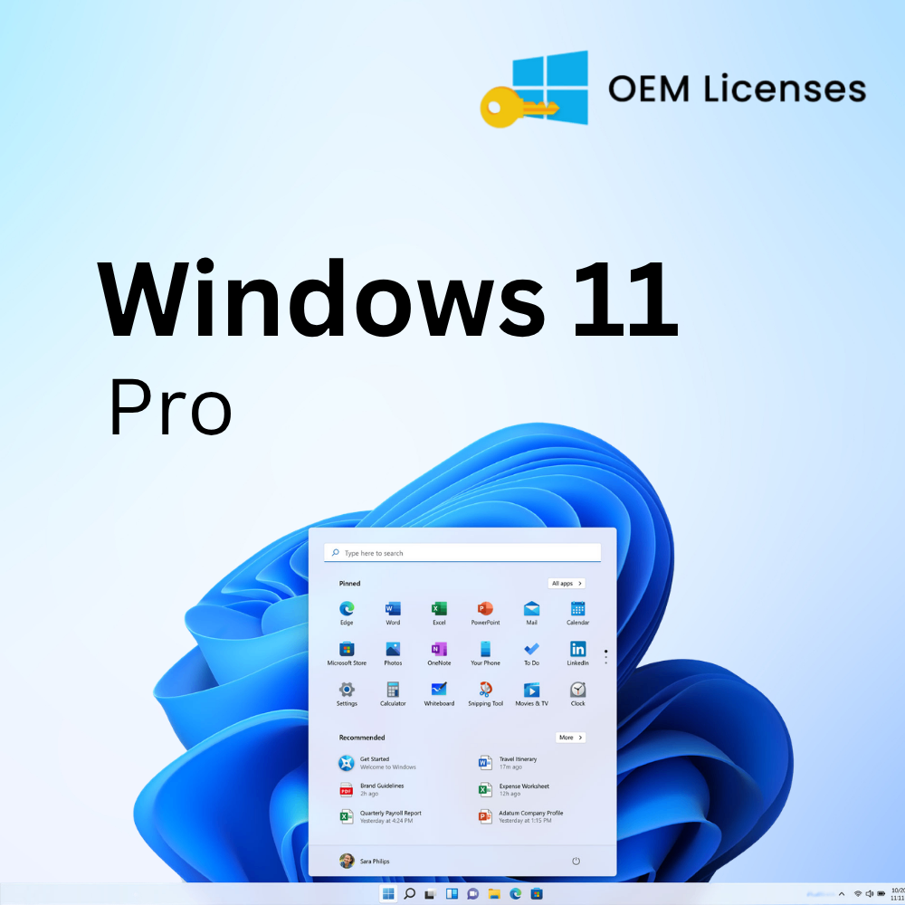 Windows 11 Pro OEM Key