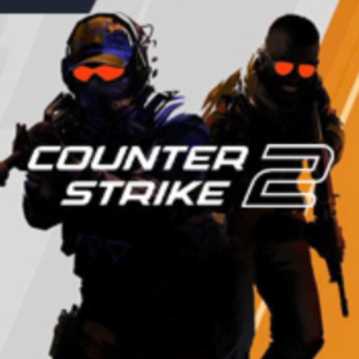 Counter Strike 2 Prime Status
